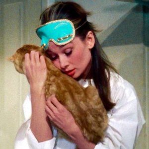 Meet your Posher, Karissa